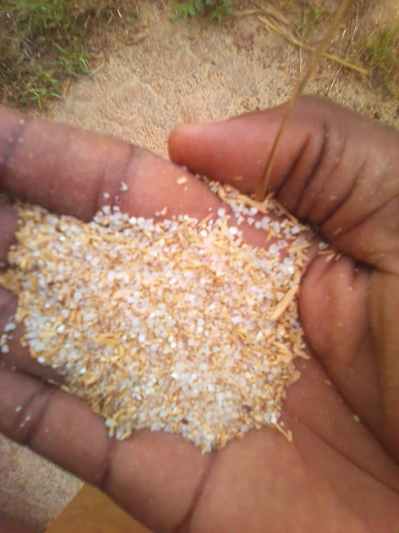 Animal Feed/Rice
