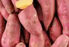 Patate douce